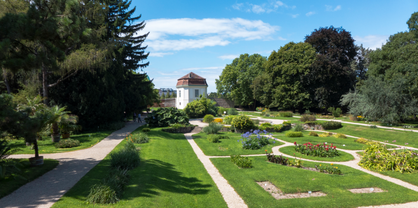 Botanischer Garten der Universität Wien
